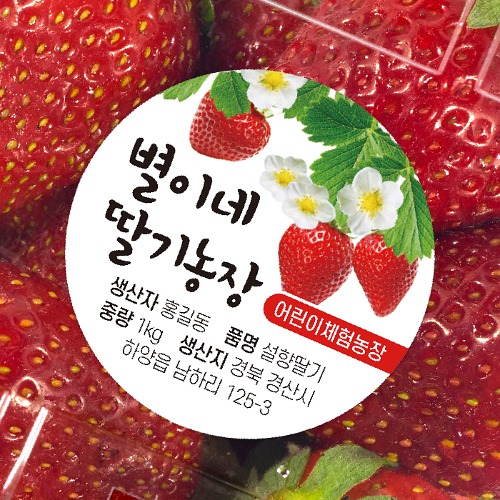 딸기 농장 체험 원형 스티커 디자인 주문 제작 만들기